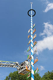 Neuer Maibaum erstmals auf dem Luise-Kiesselbach-Platz Maibaumverein Sendling Westpark stellte ihn am 1. Mai 2018 um 12.30 Uhr auf